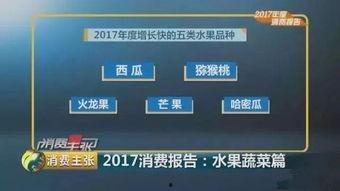 吃瓜群众在七零小说百度网盘